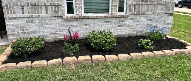 Customer photo from Kaly's review