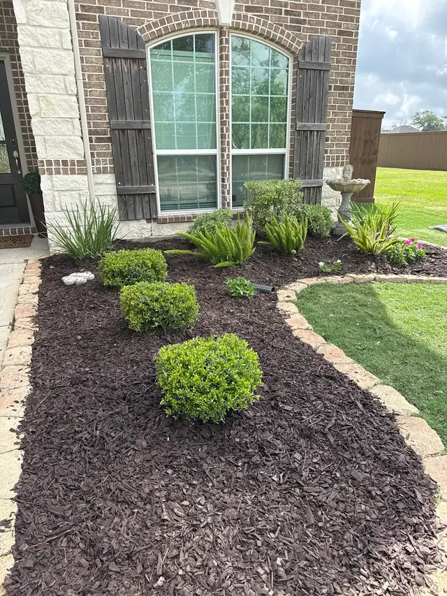 Customer photo from Cynthia's review