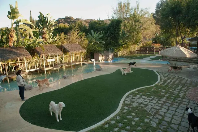 Paradise Ranch Pet Resort — photo from the business 7