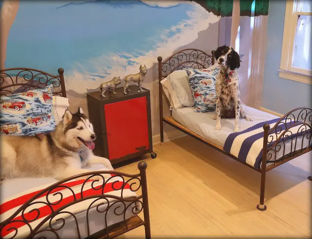 Paradise Ranch Pet Resort — photo from the business 3