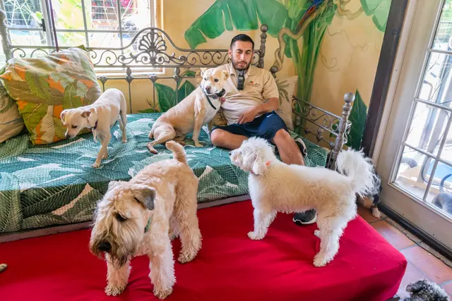Paradise Ranch Pet Resort — photo from the business 6