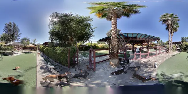 Paradise Ranch Pet Resort — photo from the business 11
