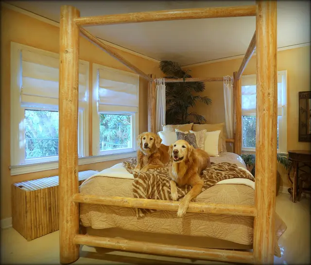 Paradise Ranch Pet Resort — photo from the business 8