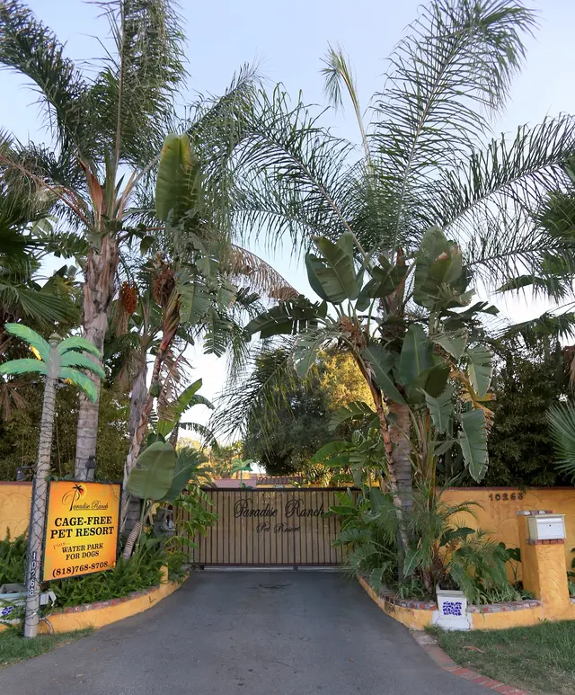 Paradise Ranch Pet Resort — photo from the business 12