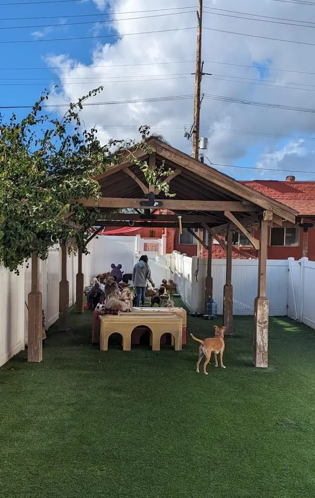 The Wags Club — photo from the business 8
