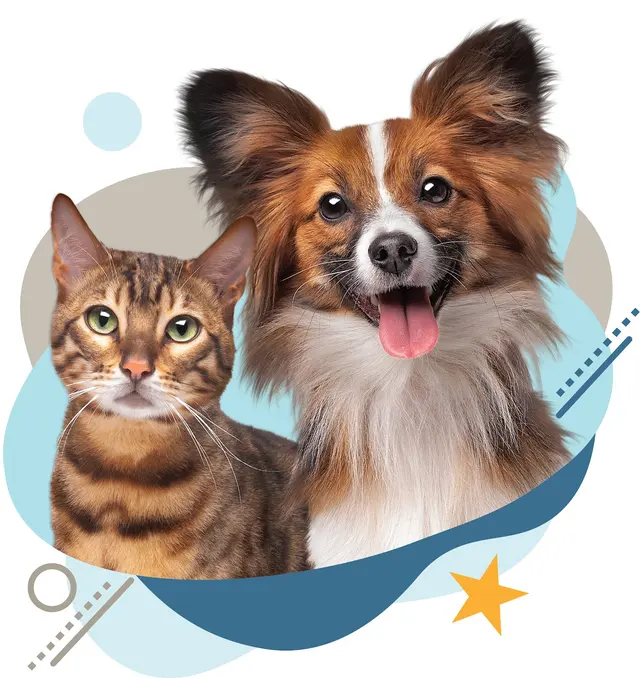 LA Pet Sitting — photo from the business 1