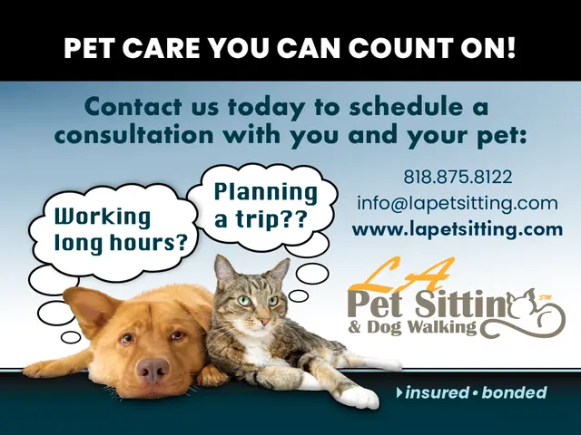 LA Pet Sitting — photo from the business 3