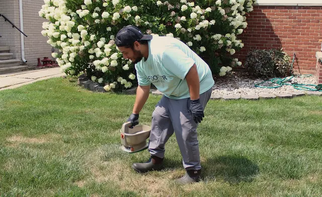 Turf Doctor — photo from the business 6