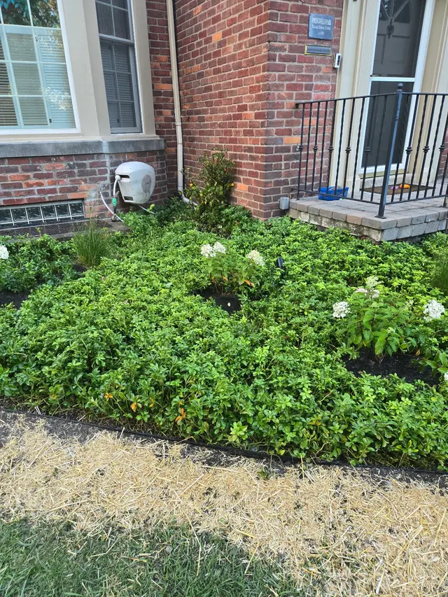 Customer photo from Bruce's review