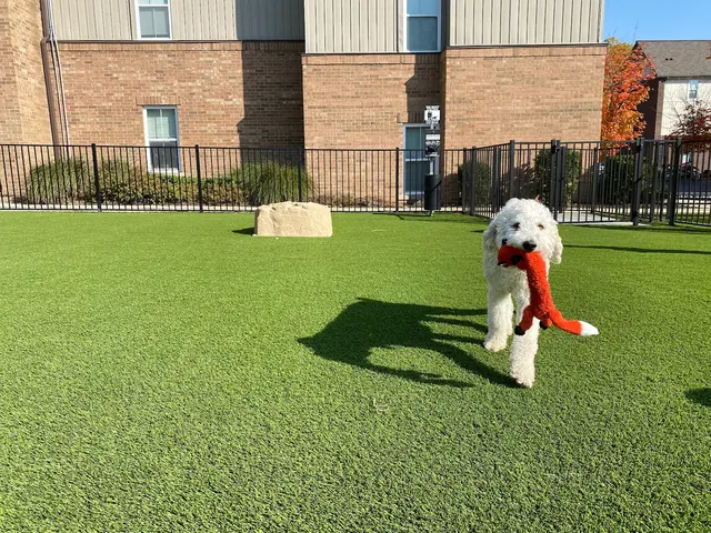 SYNLawn Michigan — photo from the business 9