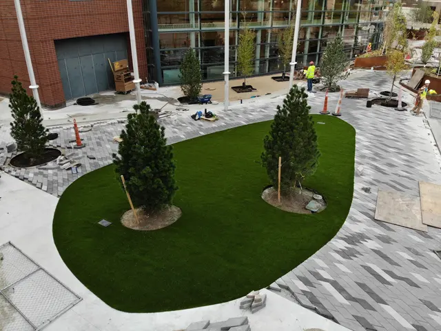 SYNLawn Michigan — photo from the business 4
