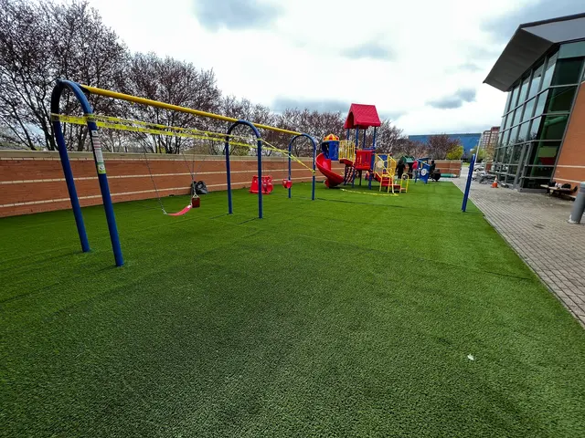 SYNLawn Michigan — photo from the business 3