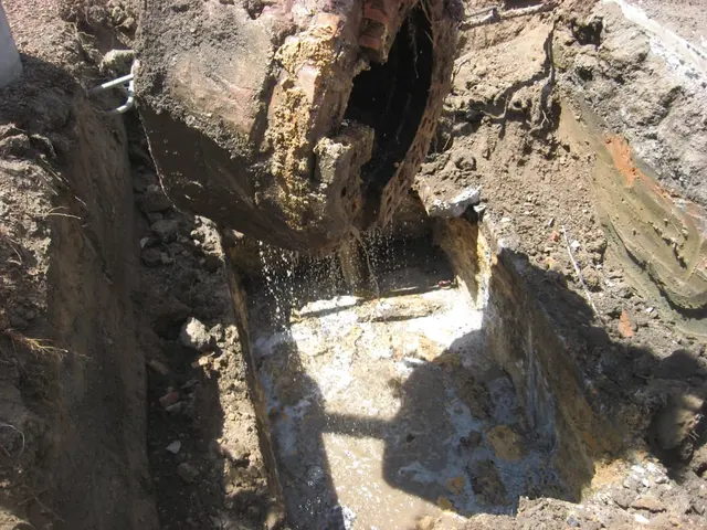 AAA AUGER Plumbing Services — photo from the business 2