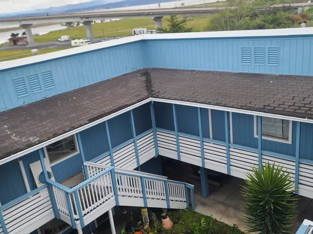 Vista Roofing Corp. — photo from the business 6