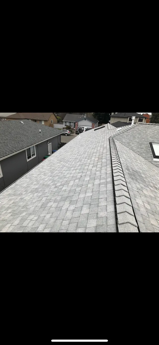 Perkins Professional Roofing — photo from the business 7