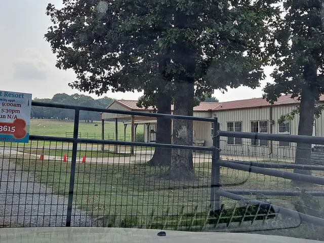 K-9 Acres Pet Resort — customer photo 2