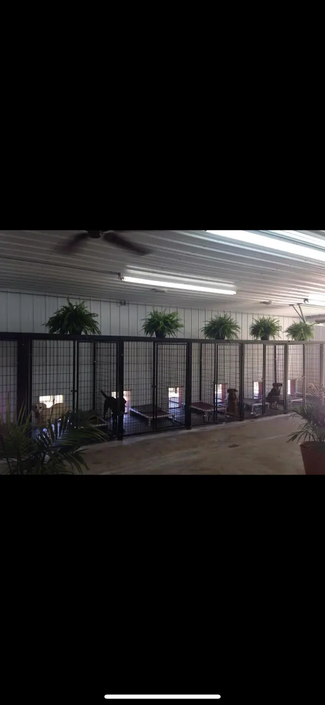 K-9 Acres Pet Resort — photo from the business 5