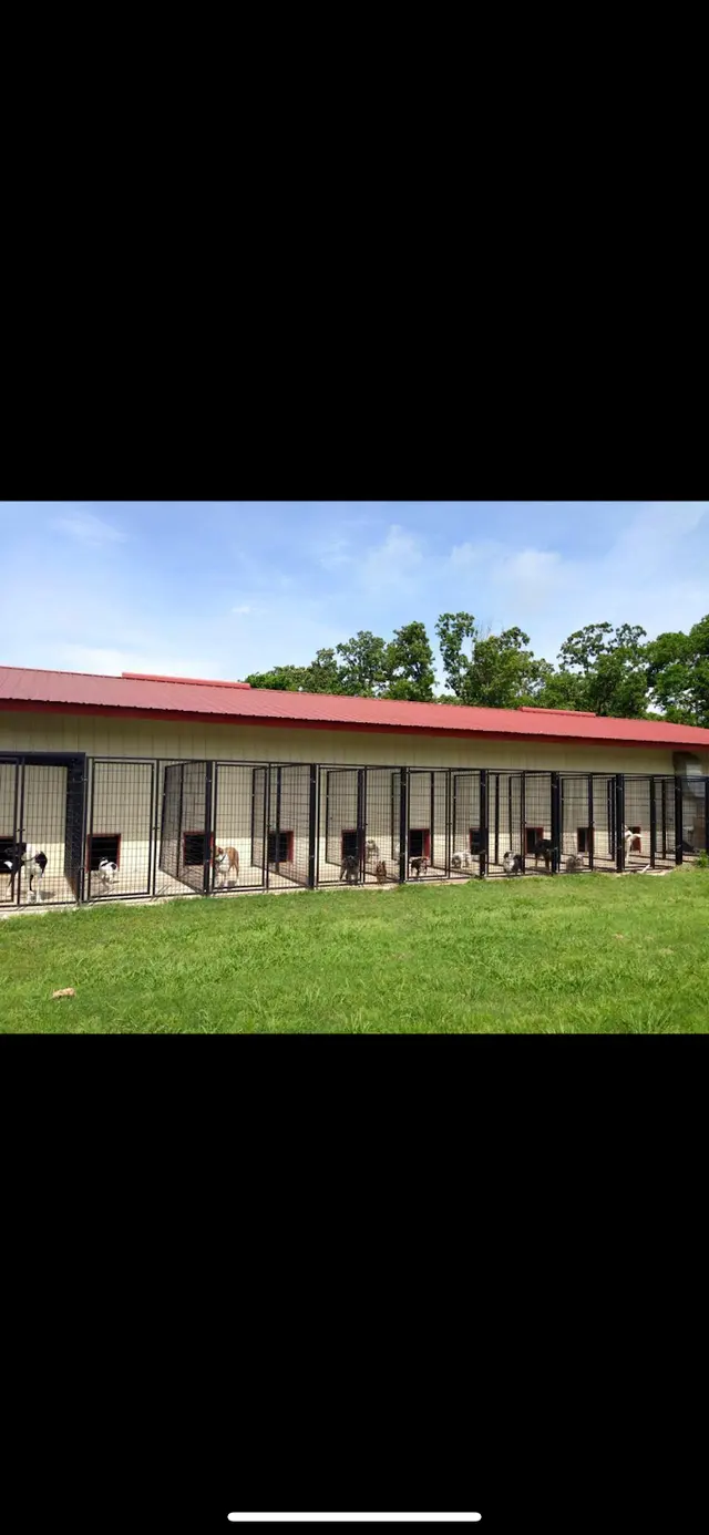 K-9 Acres Pet Resort — photo from the business 9