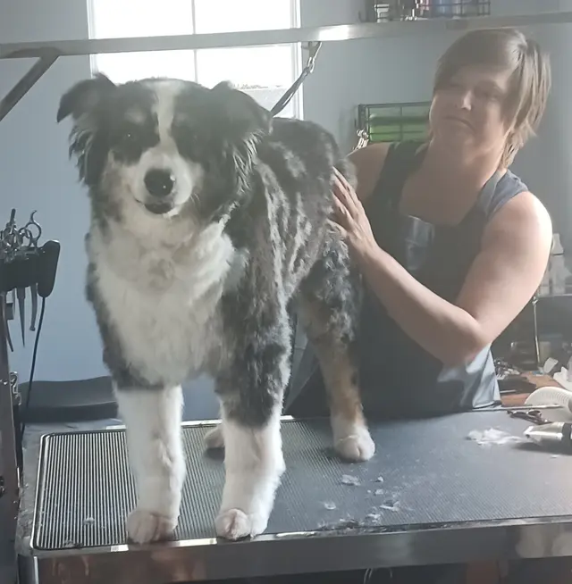 Rae's Place Dog Service — photo from the business 5