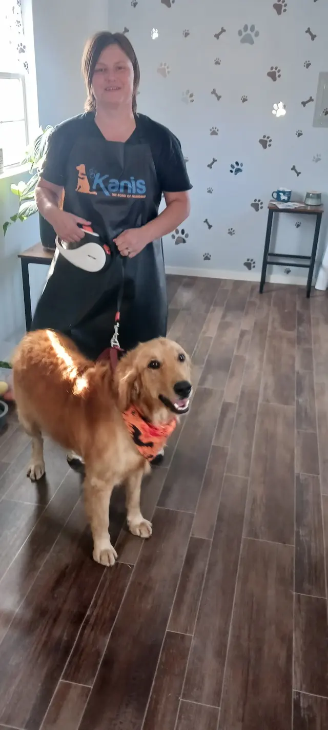 Rae's Place Dog Service — photo from the business 4