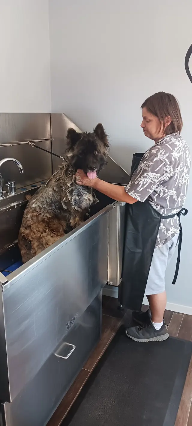 Rae's Place Dog Service — photo from the business 6