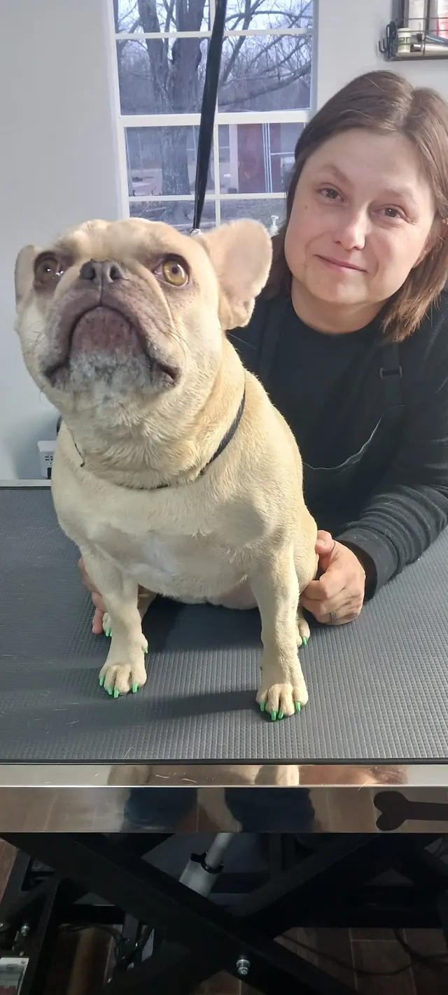 Rae's Place Dog Service — photo from the business 7