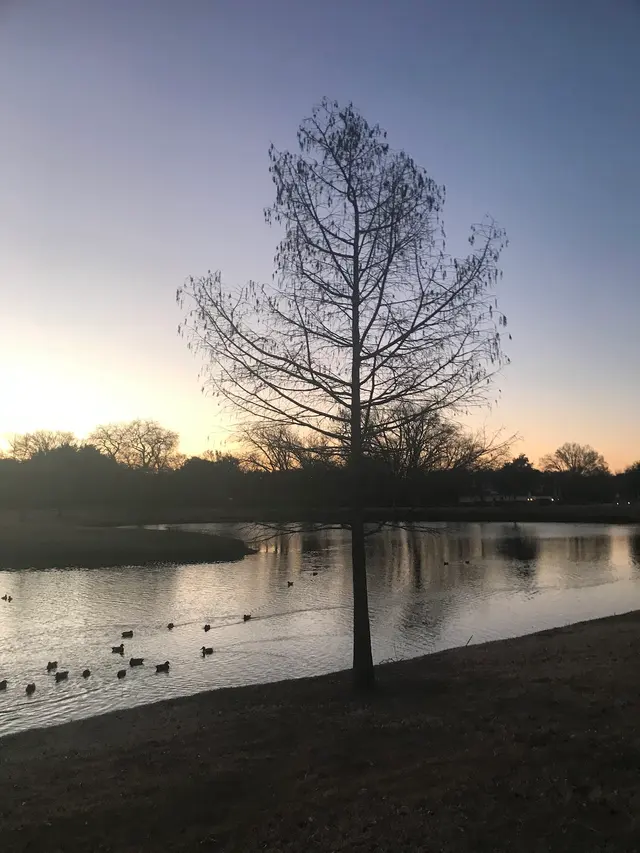 Duck Pond Park — customer photo 9