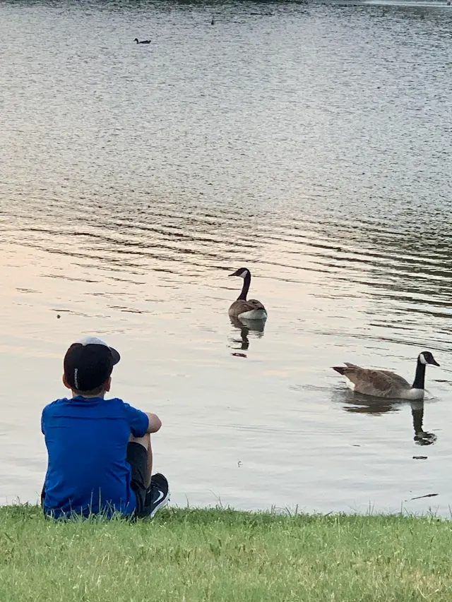 Duck Pond Park — customer photo 5