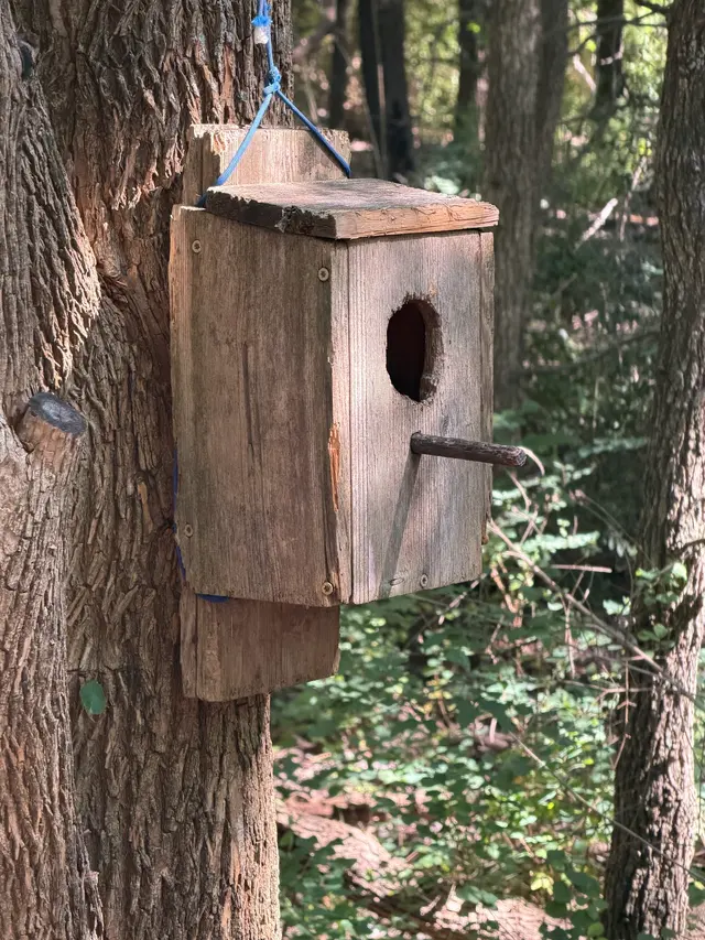 Customer photo of work by Wagon Wheel Park, from Kevin Pribbernow's review