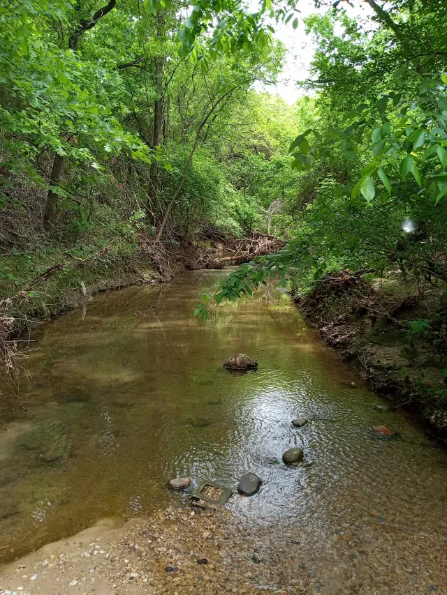 Wagon Wheel Park — customer photo 7