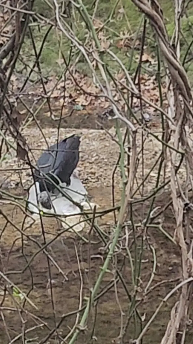 Coppell Nature Park — customer photo 10