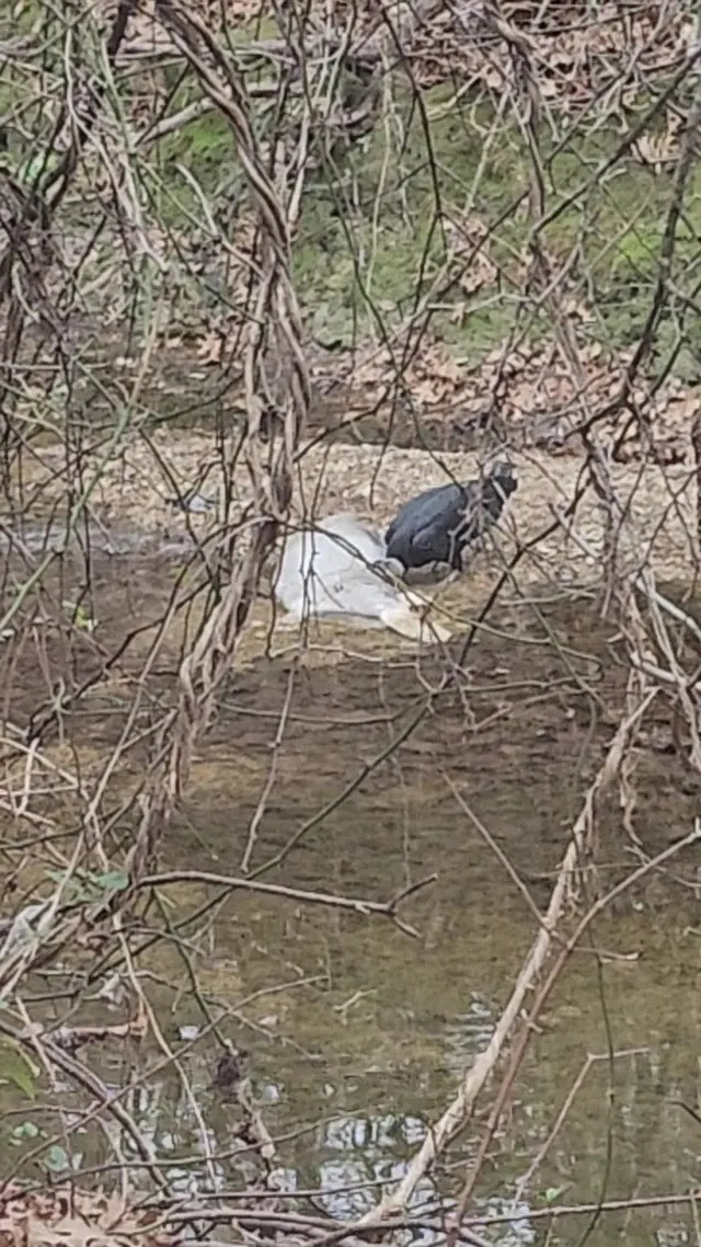 Coppell Nature Park — customer photo 9