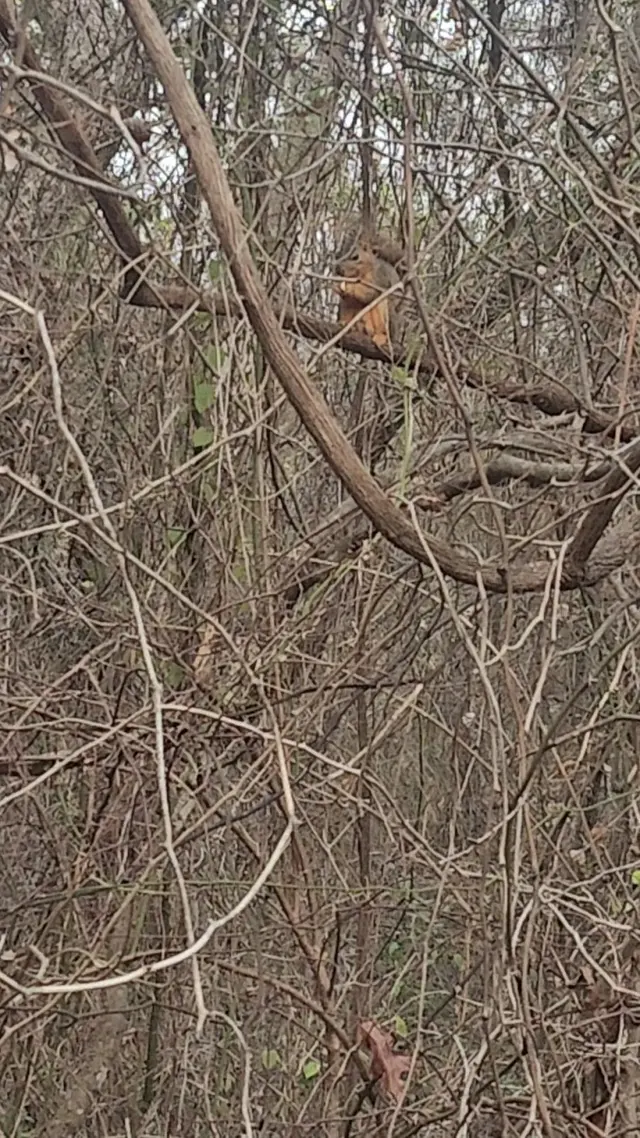 Coppell Nature Park — customer photo 8