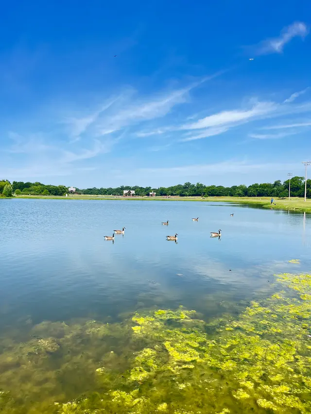 Andrew Brown Park East — customer photo 9