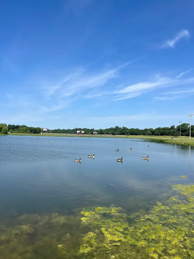 Andrew Brown Park East — customer photo 8