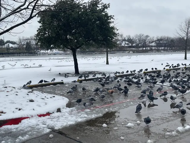 Moore Road Park — customer photo 11