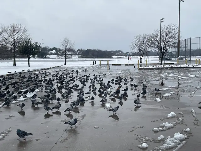 Moore Road Park — customer photo 9