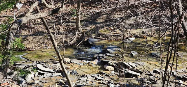 Grapevine Springs Park — customer photo 8