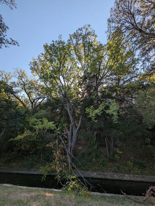 Grapevine Springs Park — customer photo 12