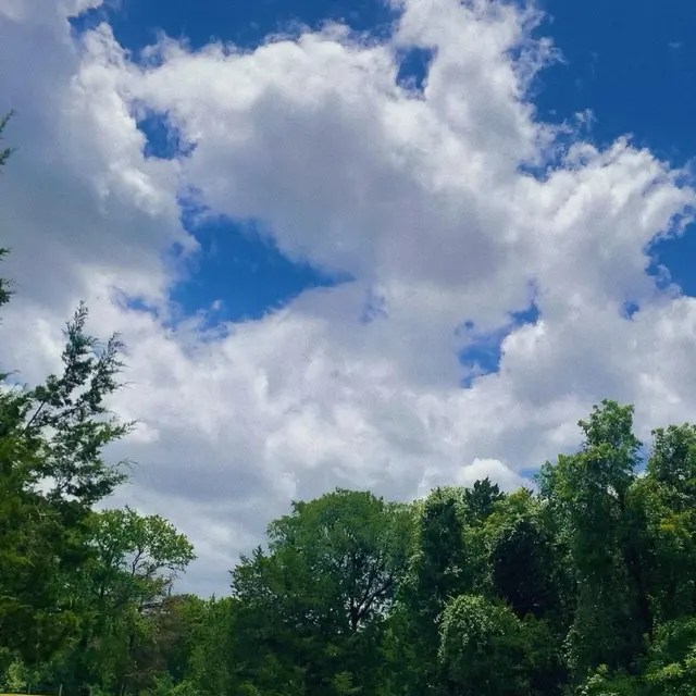 Grapevine Springs Park — customer photo 7