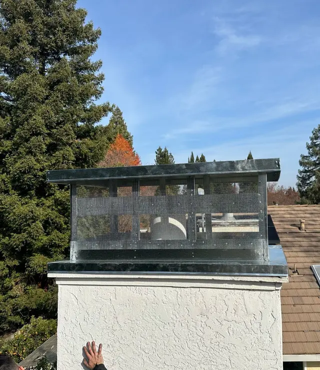 Eagle Chimney Pros — photo from the business 7