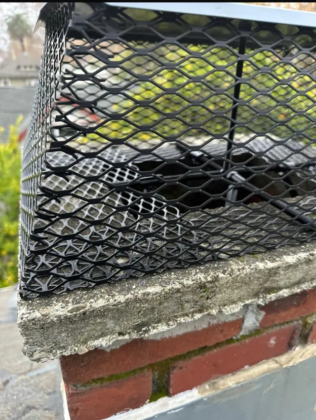 Eagle Chimney Pros — photo from the business 10
