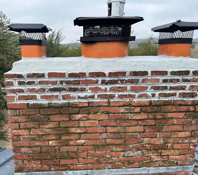 Eagle Chimney Pros — photo from the business 1
