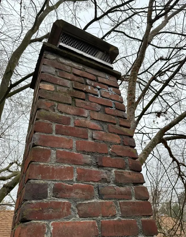 Eagle Chimney Pros — photo from the business 11