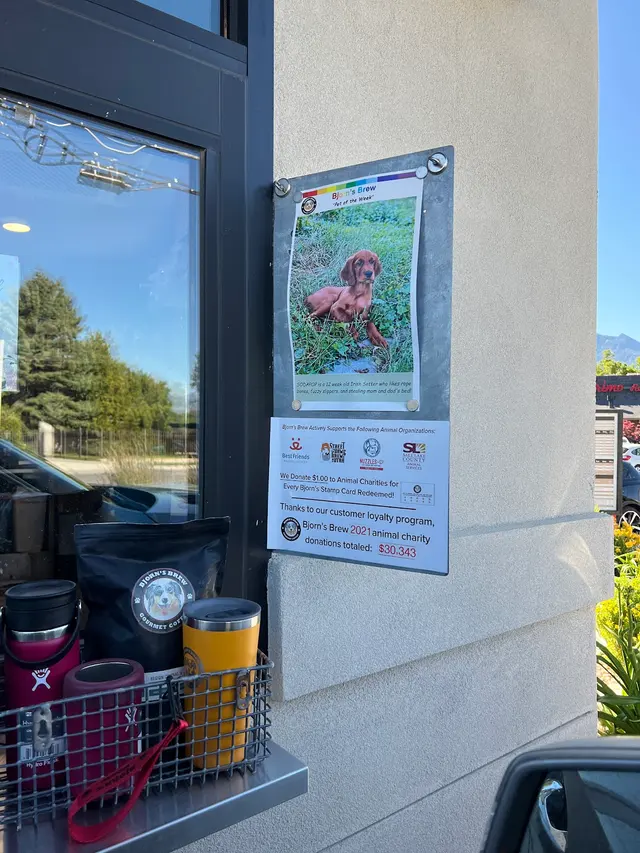 Bjorn's Brew — customer photo 10