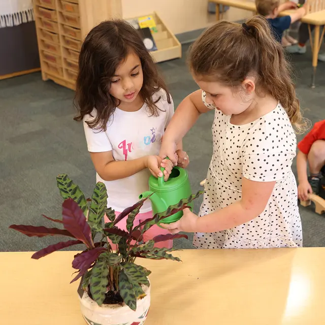La Petite Academy of St. Cloud Technical College — photo from the business 8