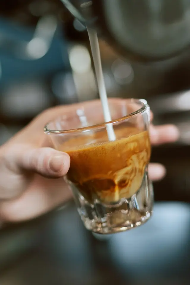 Alpha Coffee - Big Cottonwood Canyon — photo from the business 12