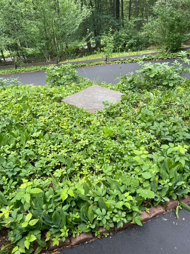 Wind River Environmental of Beacon, NY — customer photo 7