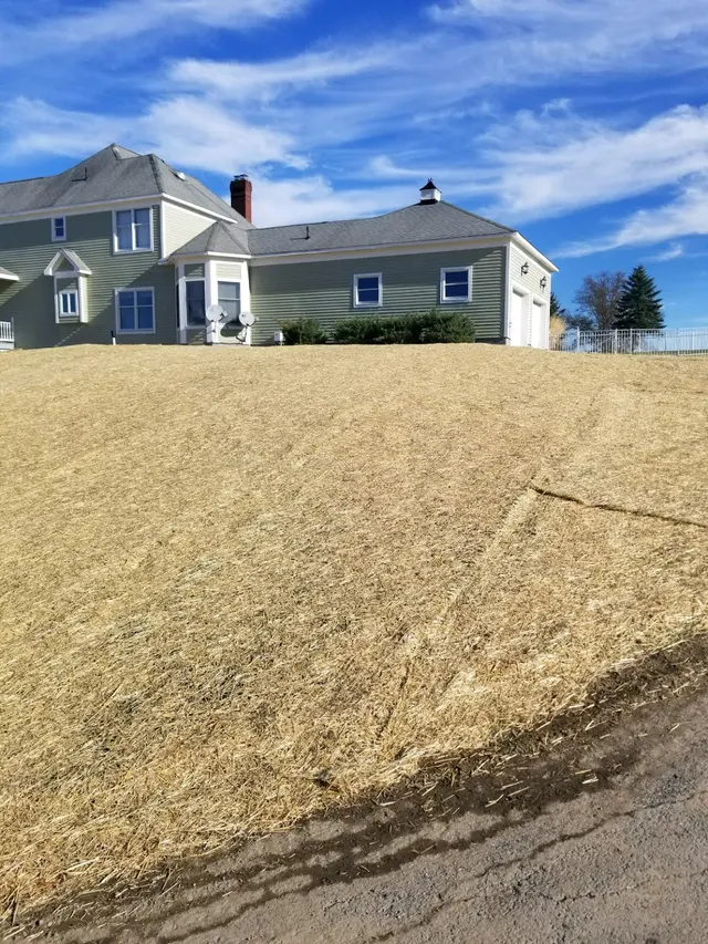 Busy Bee Septic and Excavating LLC — photo from the business 2