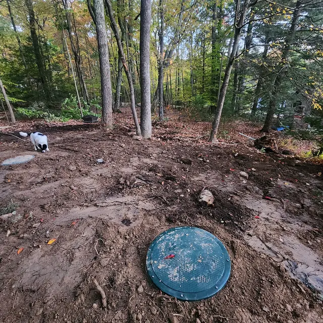 Busy Bee Septic and Excavating LLC — customer photo 4